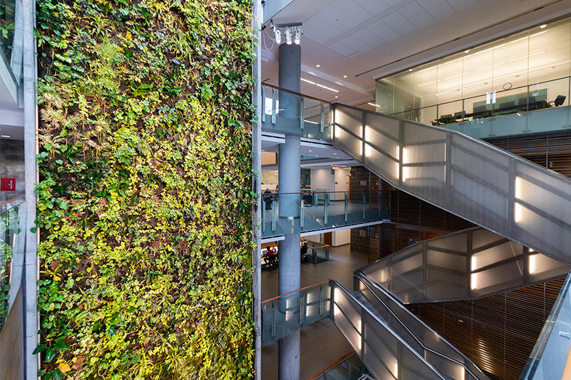 FSS green wall