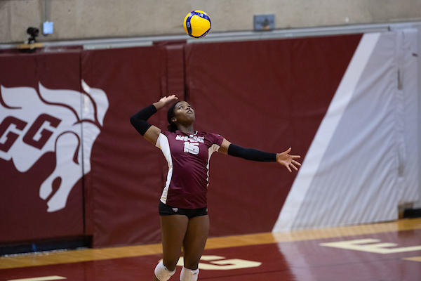 Volleyball Player