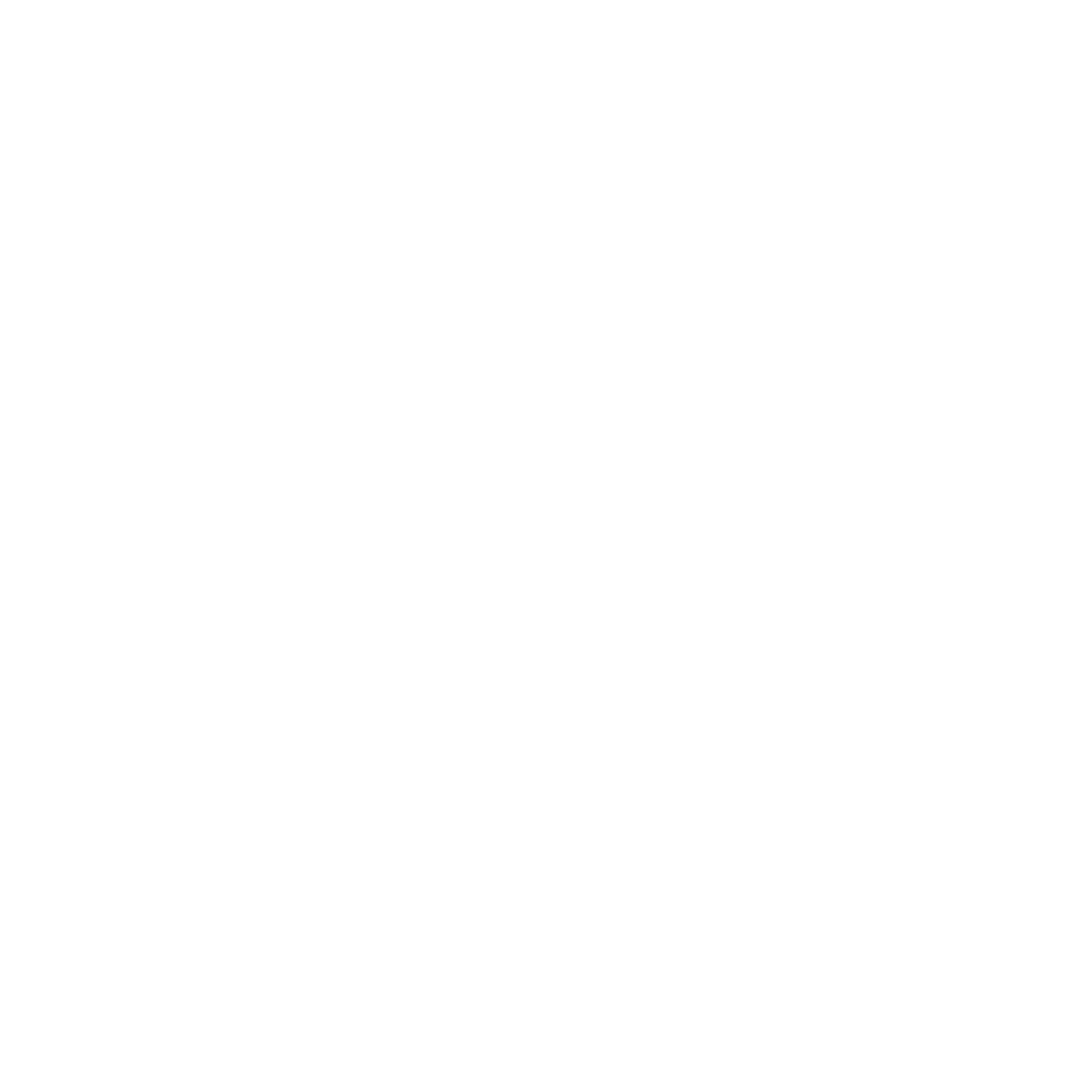 train ticket icon
