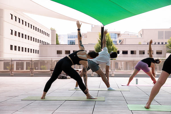 individuals doing yoga