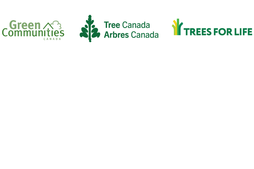 Logo: Green Communities, Trees for Life and Tree Canada