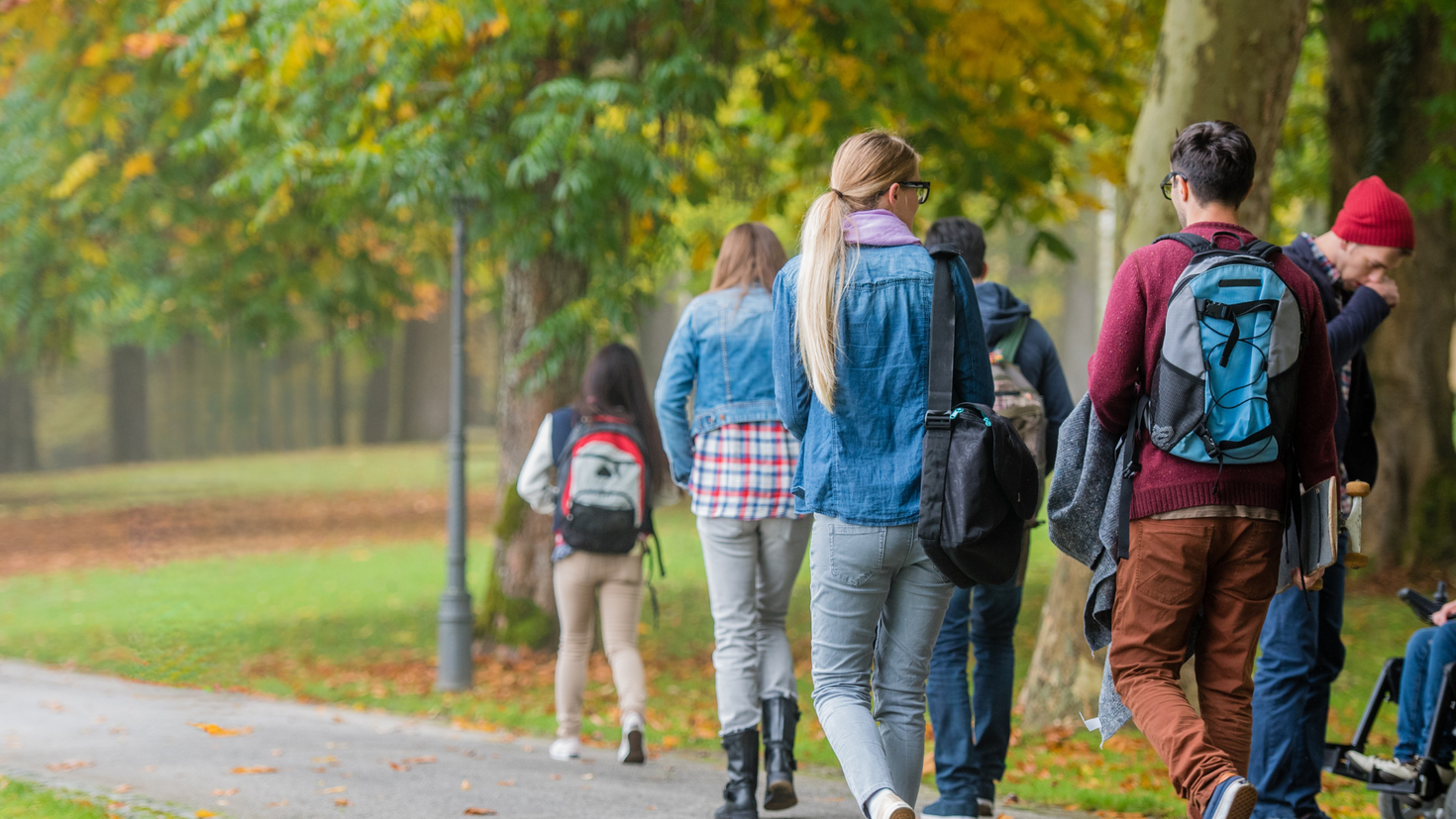 Students seen from back walking outside in the fall