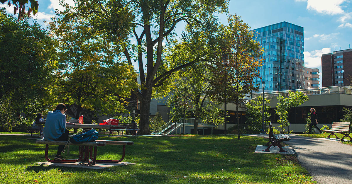 Trees on campus