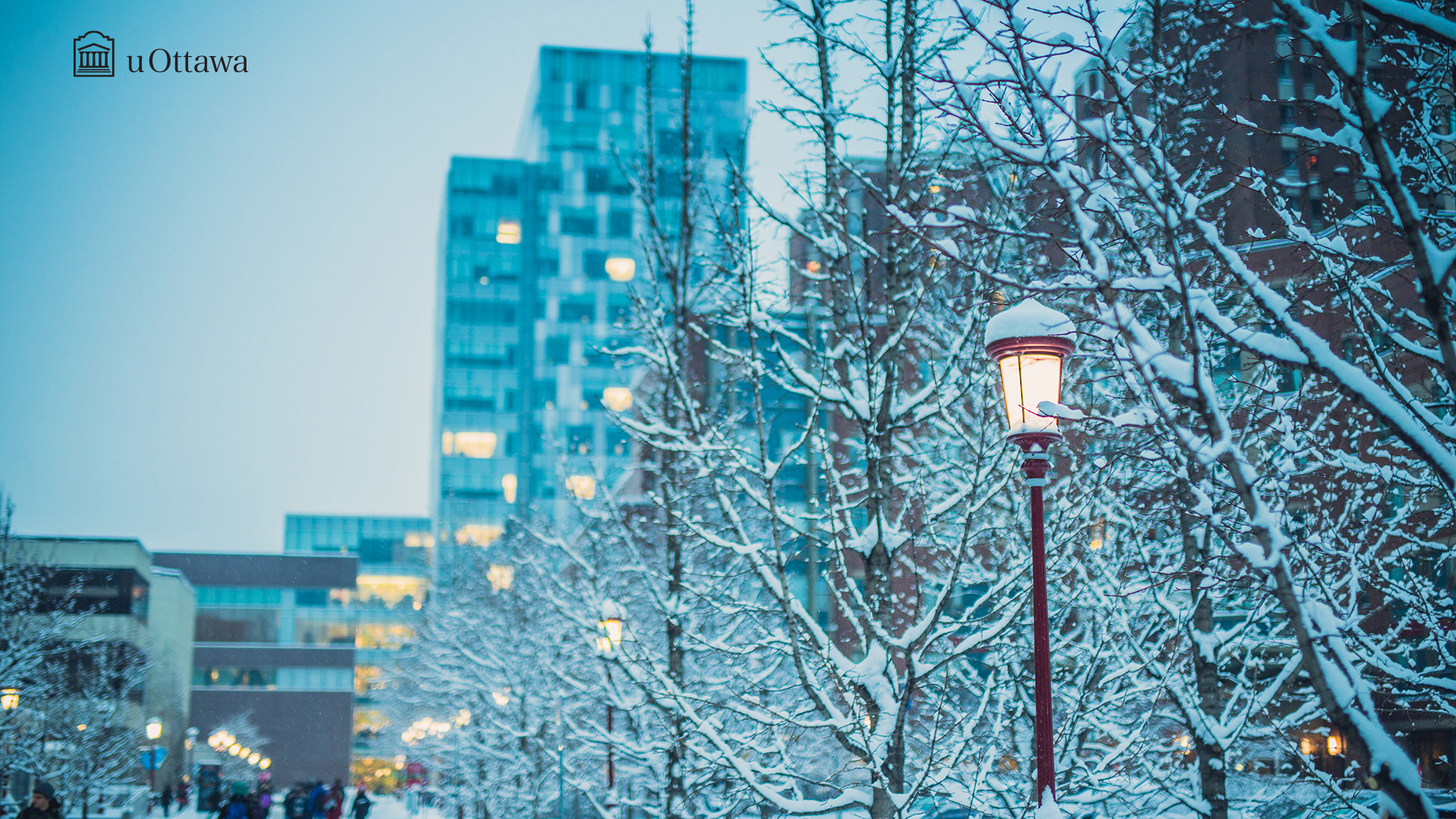 uOttawa campus in winter