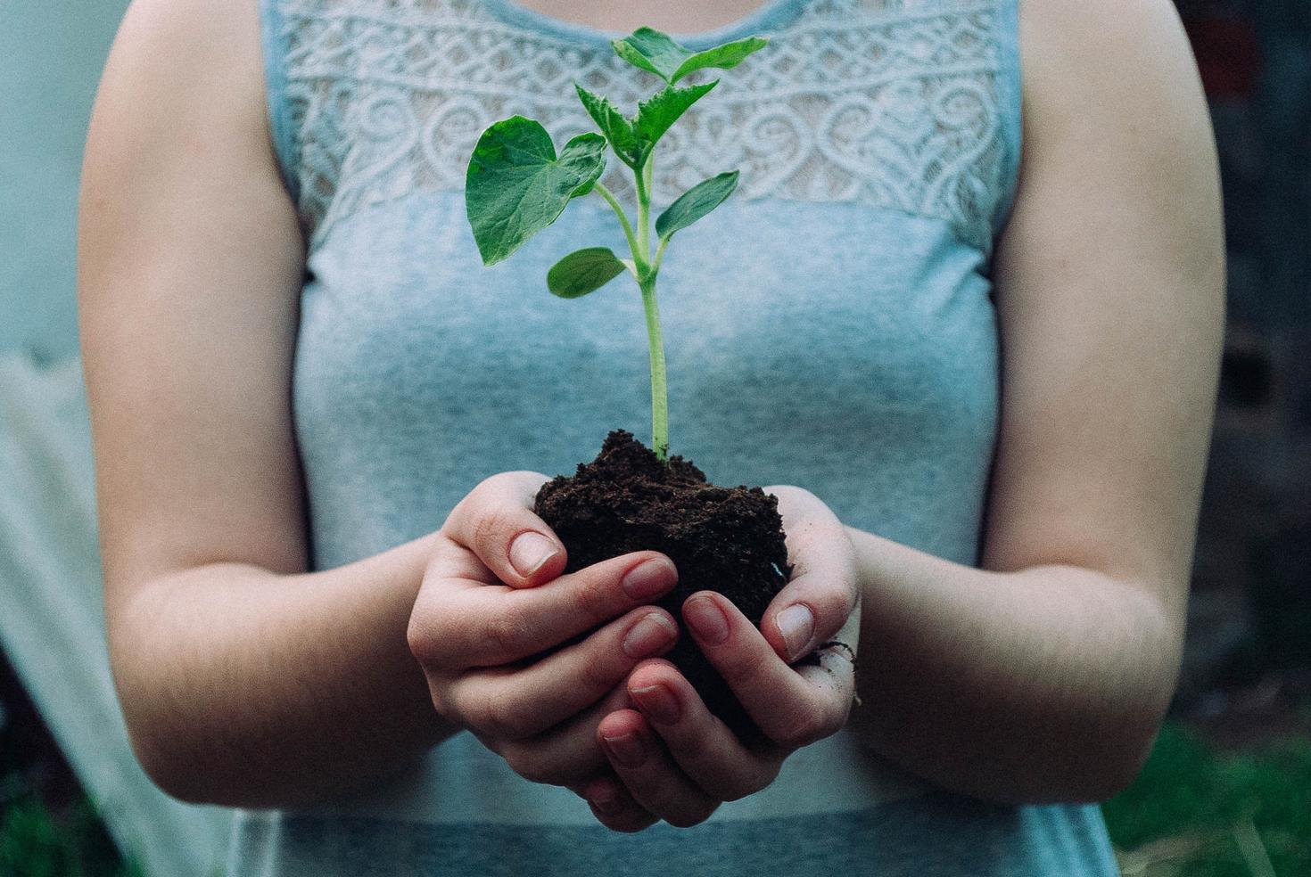 Woman holding a handful of dirt with a sprouted plant