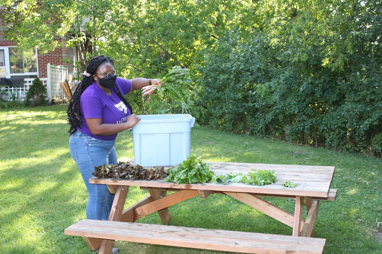 Adebimpe Gardening