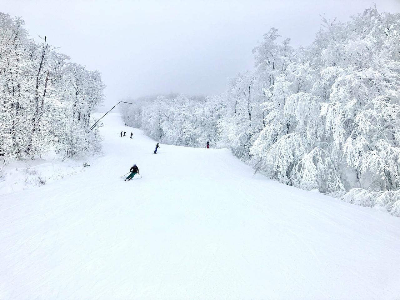 People downhill skiing