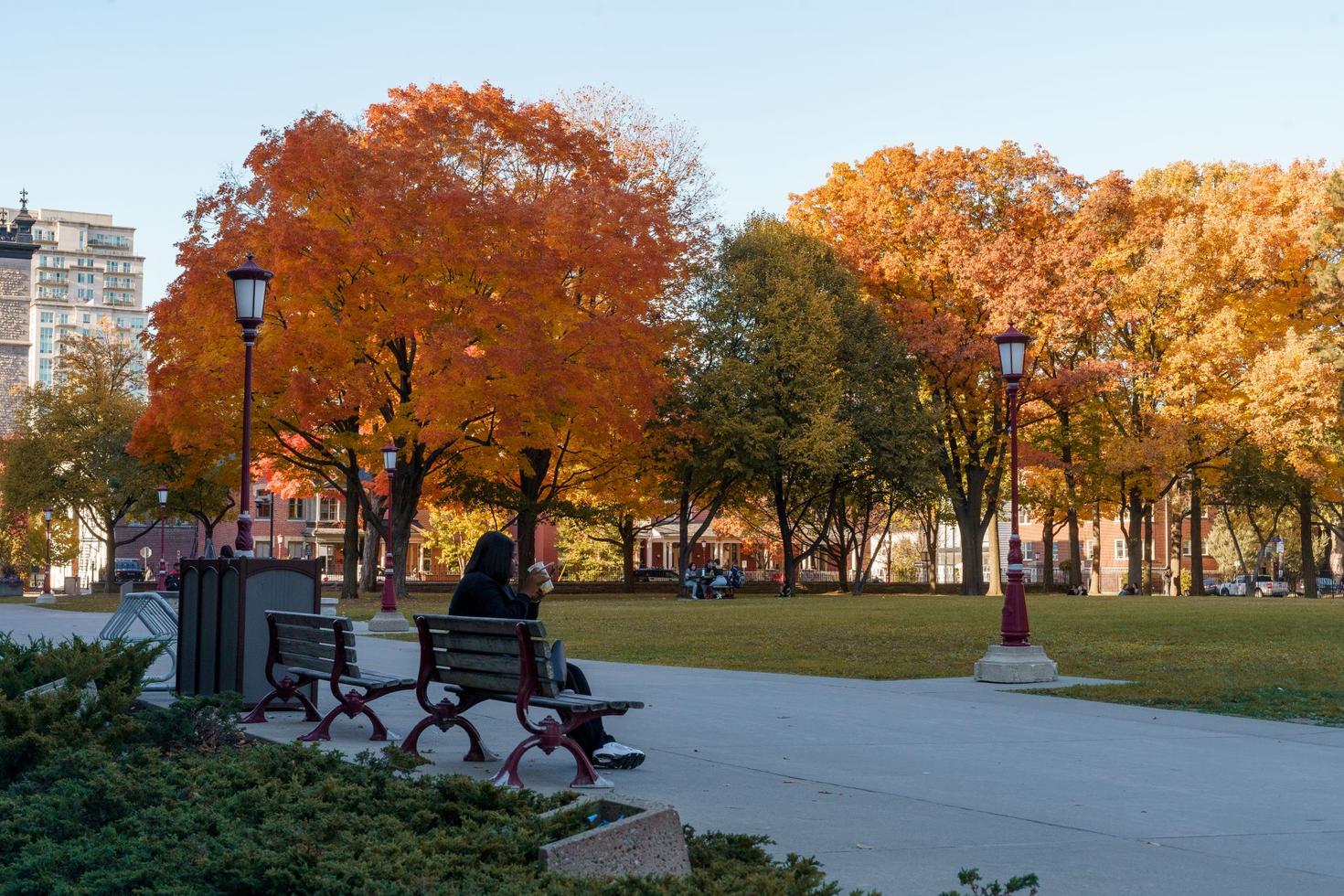 A student sits on a park bench overlooking the autumn colors of leaves in the trees in front of Tabaret Hall.