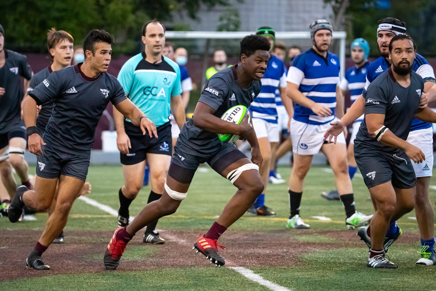 Rugby masculin