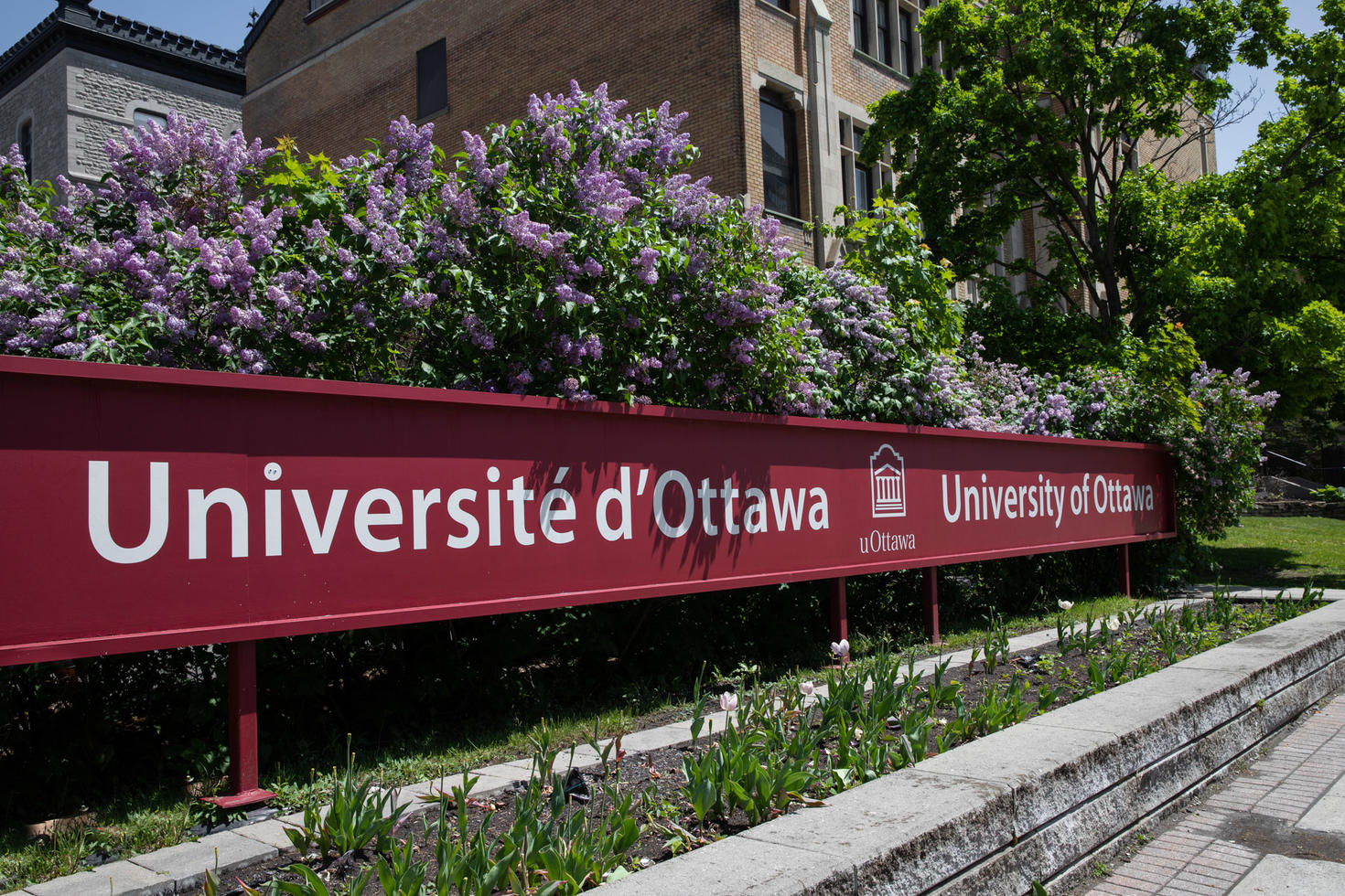 Enseigne officielle de l’Université d’Ottawa