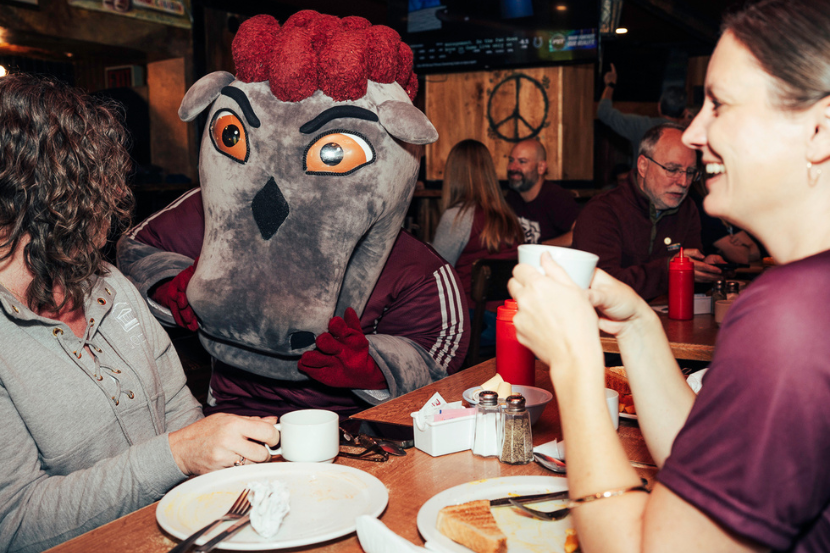 Fns Mascot