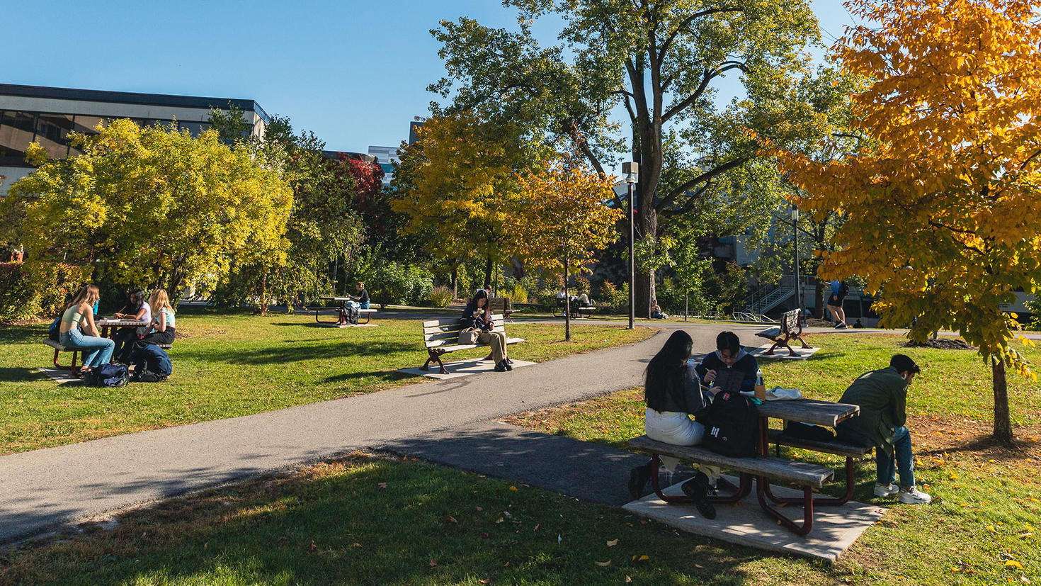 Des étudiants assis sur des bancs à l'extérieur
