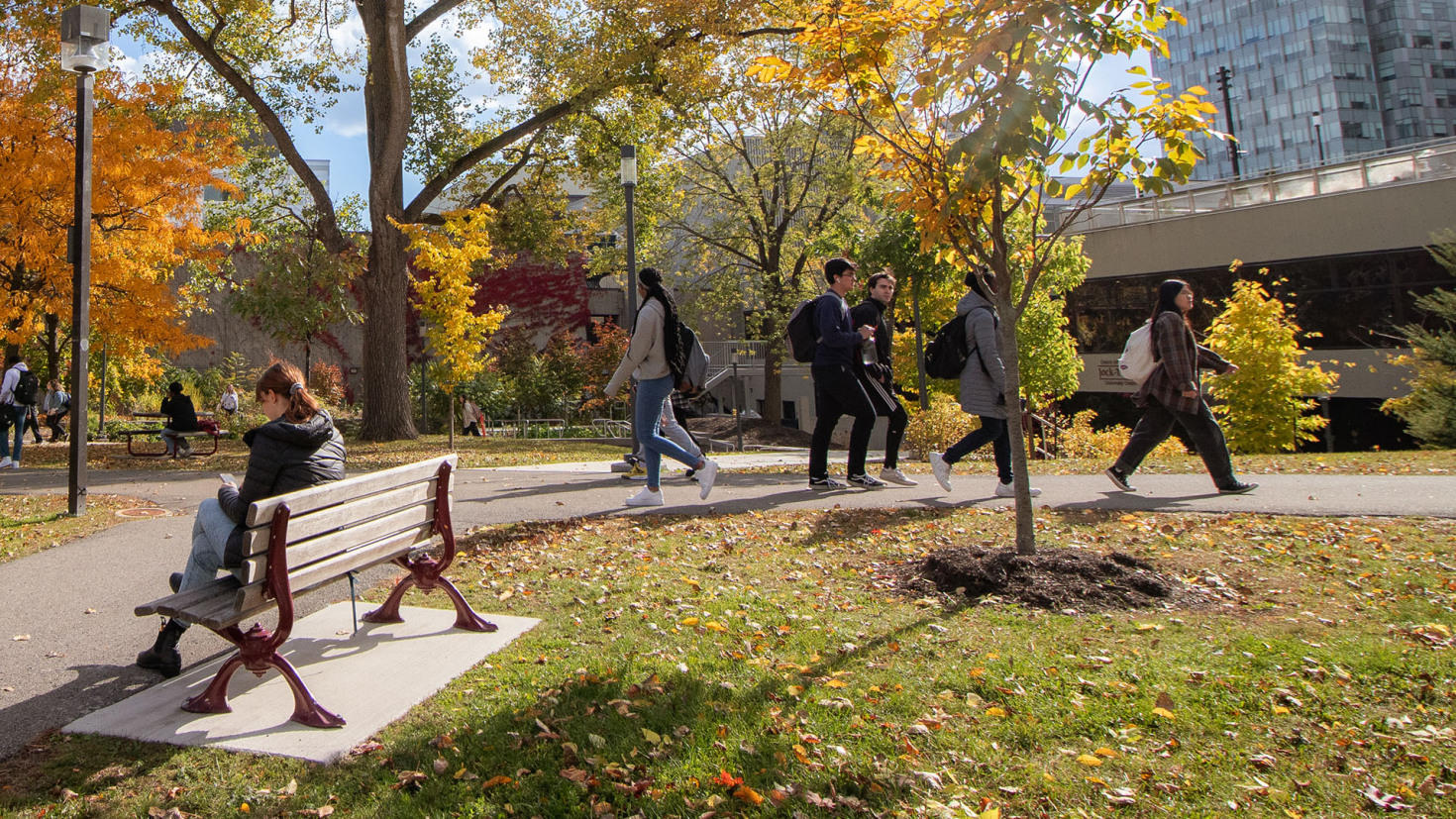 Étudiants et étudiantes sur campus 