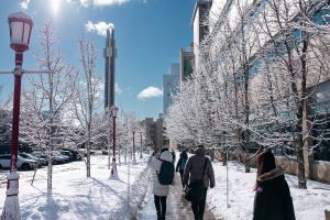 Hiver sur le campus