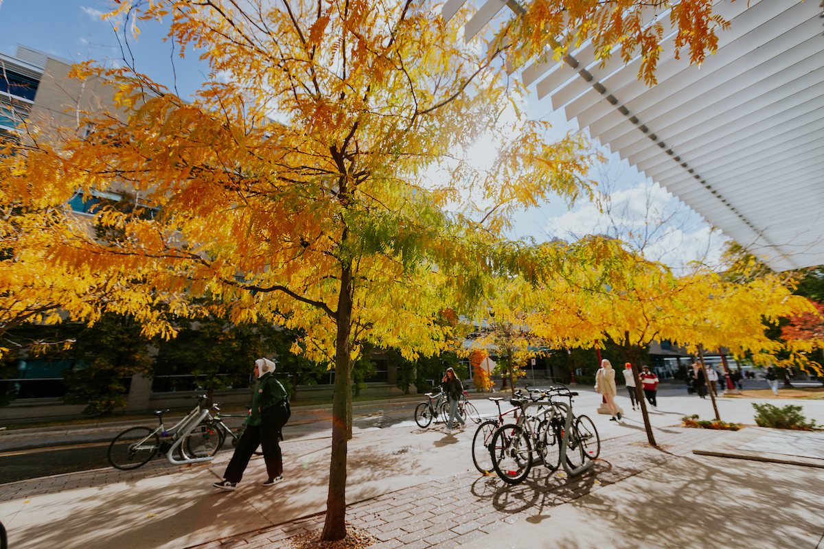 Campus in the fall