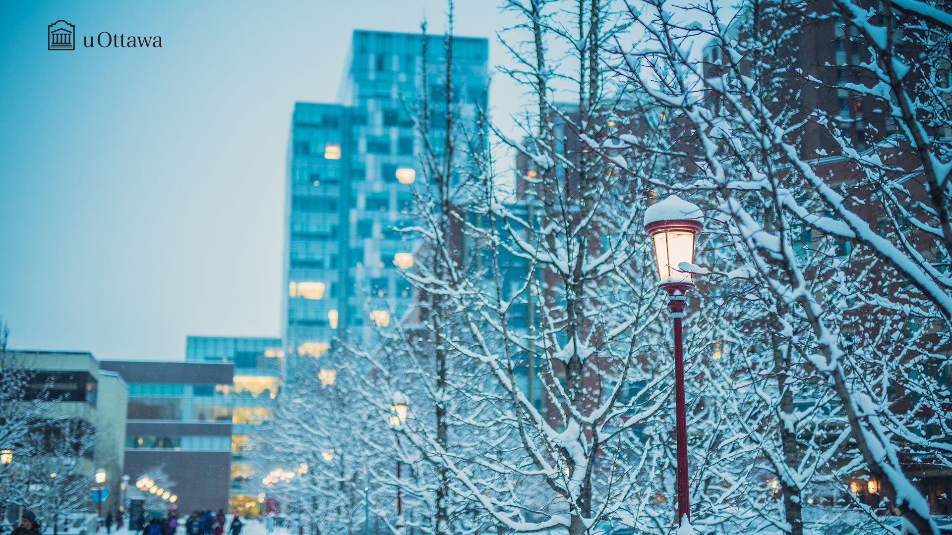 Campus uOttawa à l'hiver