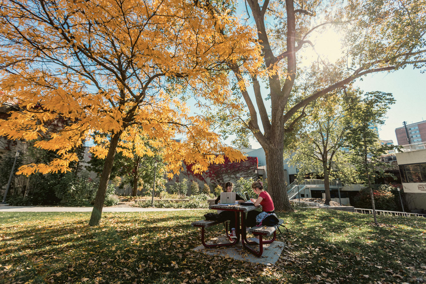 étudiants assis à une table sur le campus durant l'automne