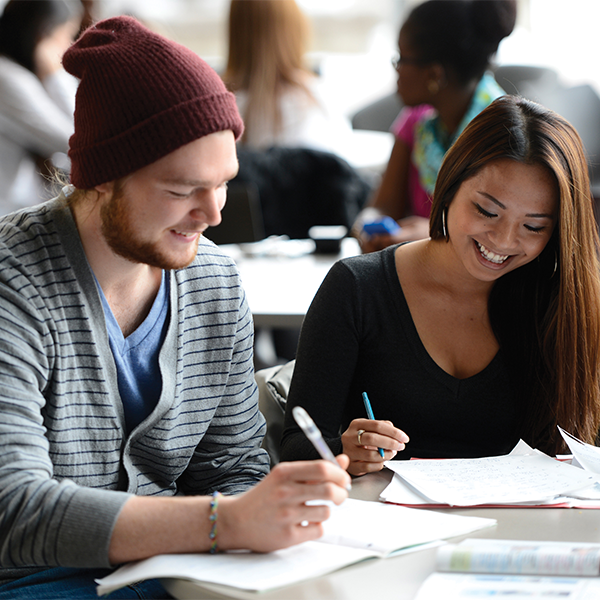 des étudiants qui étudient ensemble
