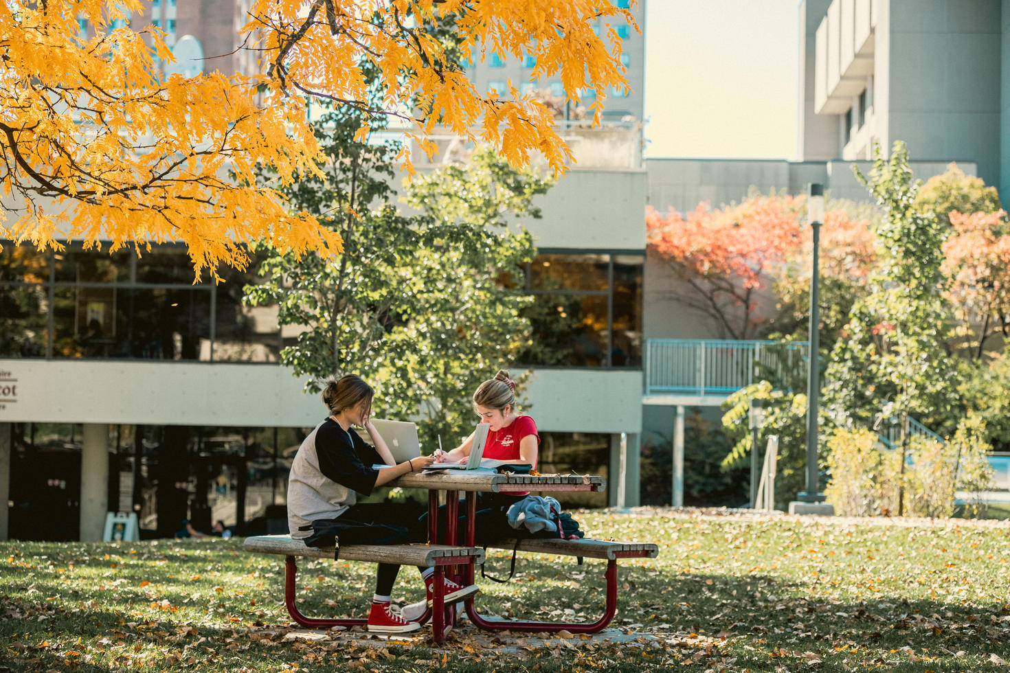 Étudiant assis à une table de déjeuner en plein air sur le campus à l'automne.