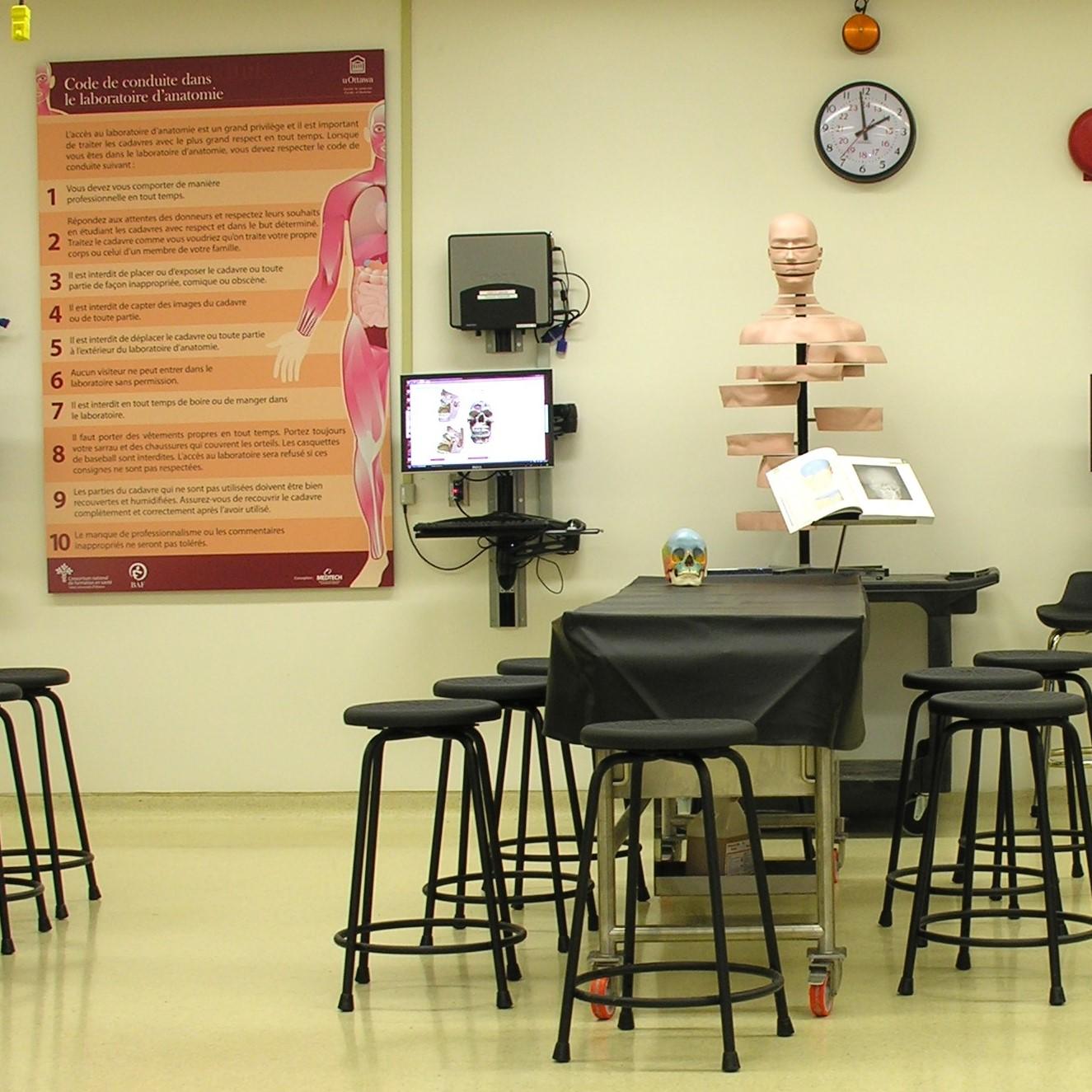laboratoire d'anatomie