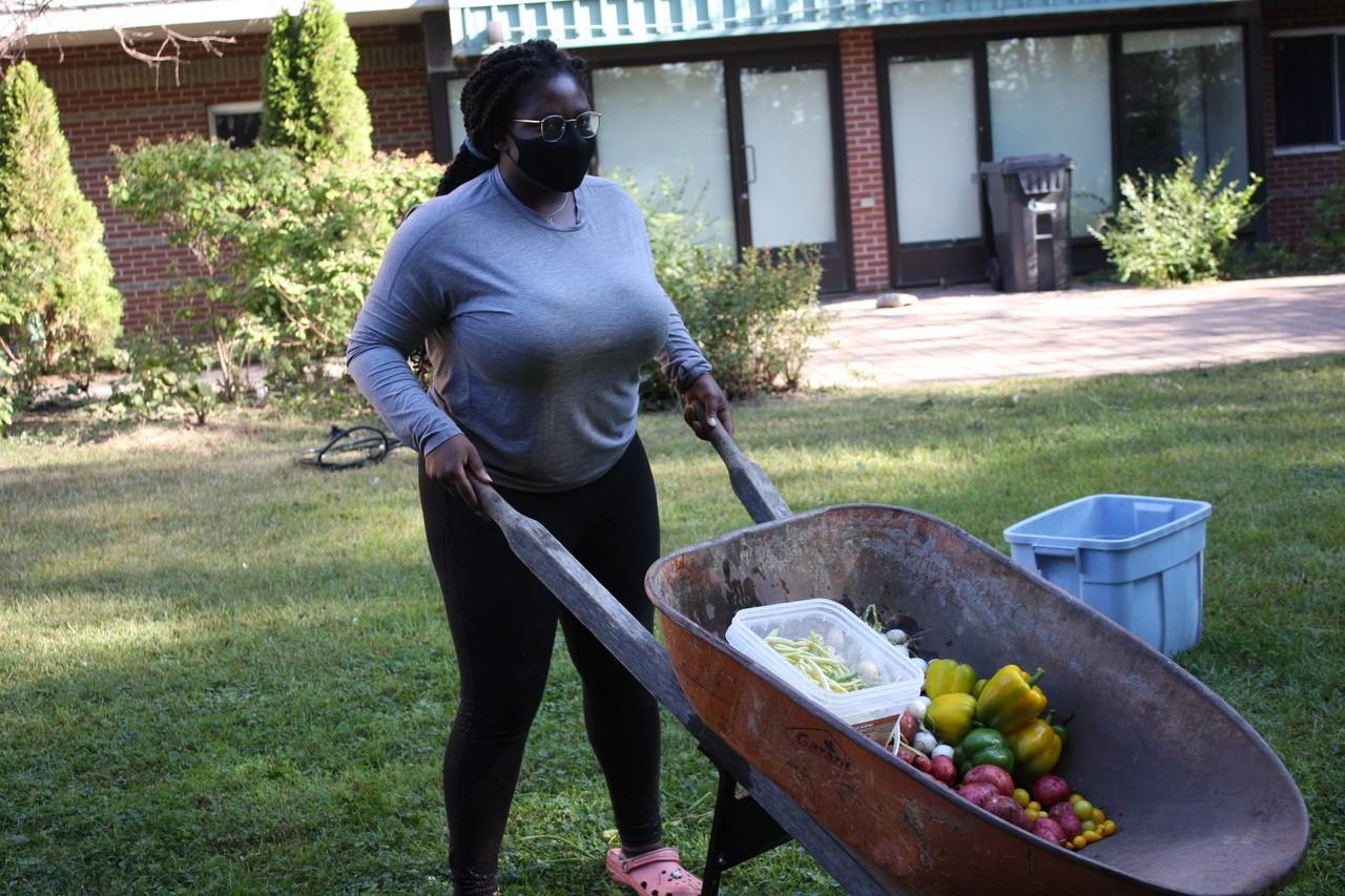Adebimpe with wheelbarrow