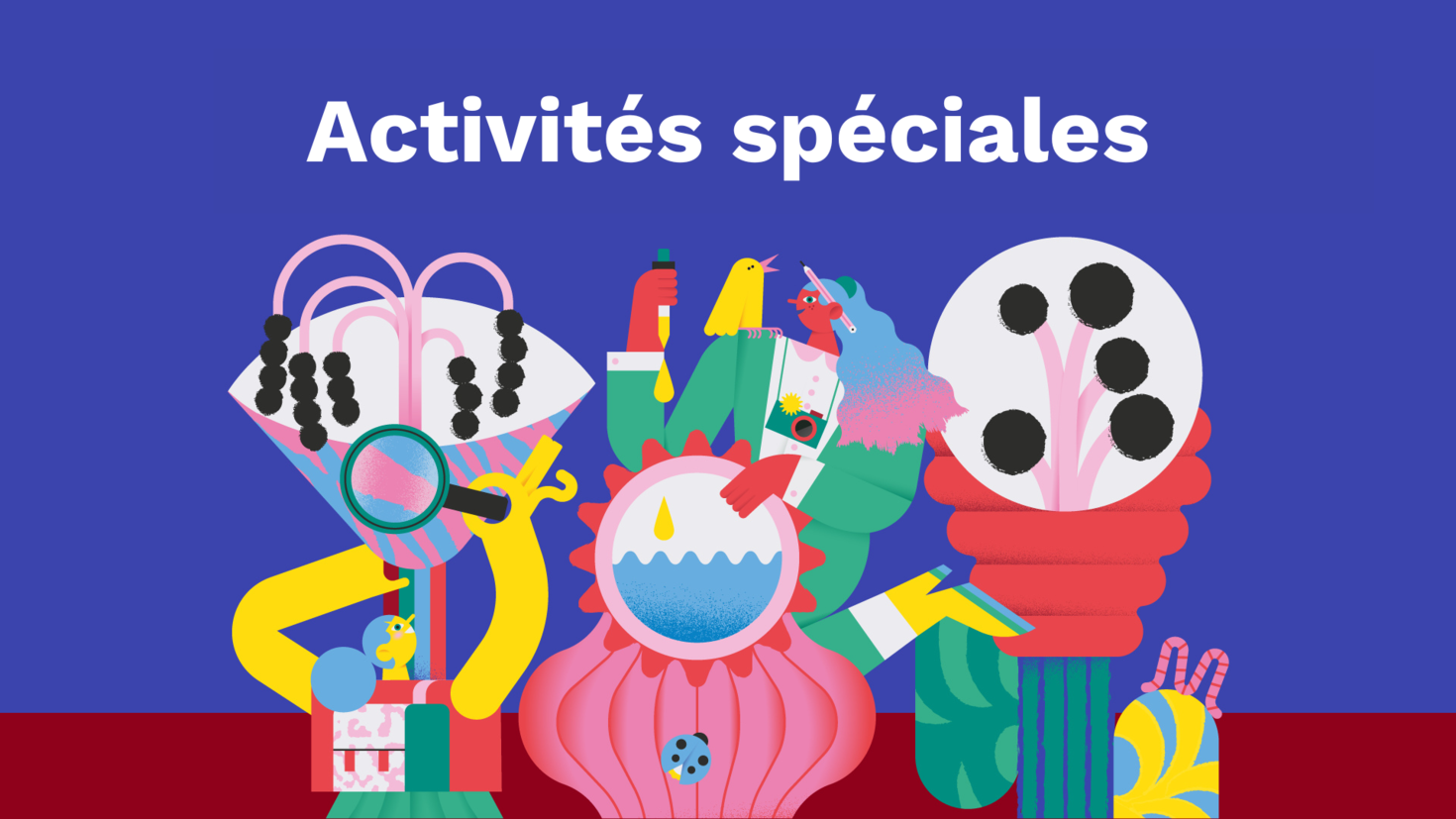 Activités spéciales