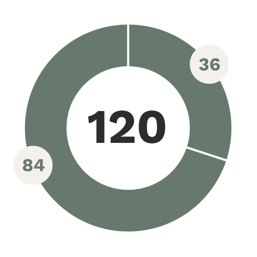 graphique circulaire qui représente les proportions des crédits d'un baccalauréat spécialisé intégrant une option