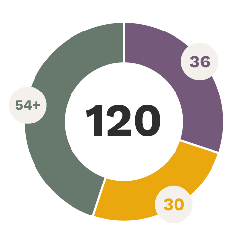 graphique circulaire qui représente les proportions des crédits d'un baccalauréat spécialisé avec mineure