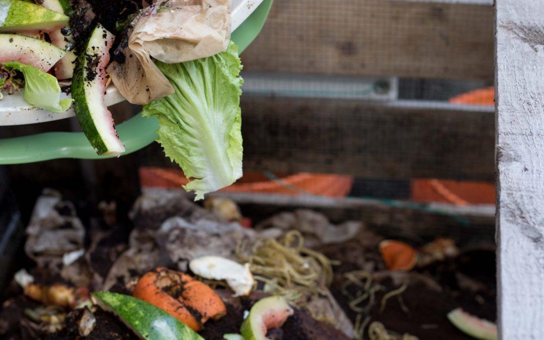Foodsharing Ottawa 