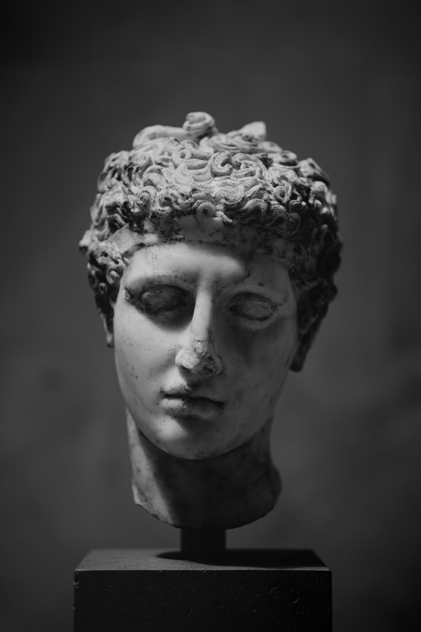Tête de statue en béton sur un présentoir
