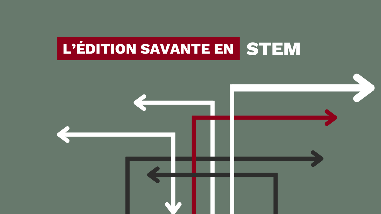 Plusieurs fleches avec le texte l'édition savante en STEM