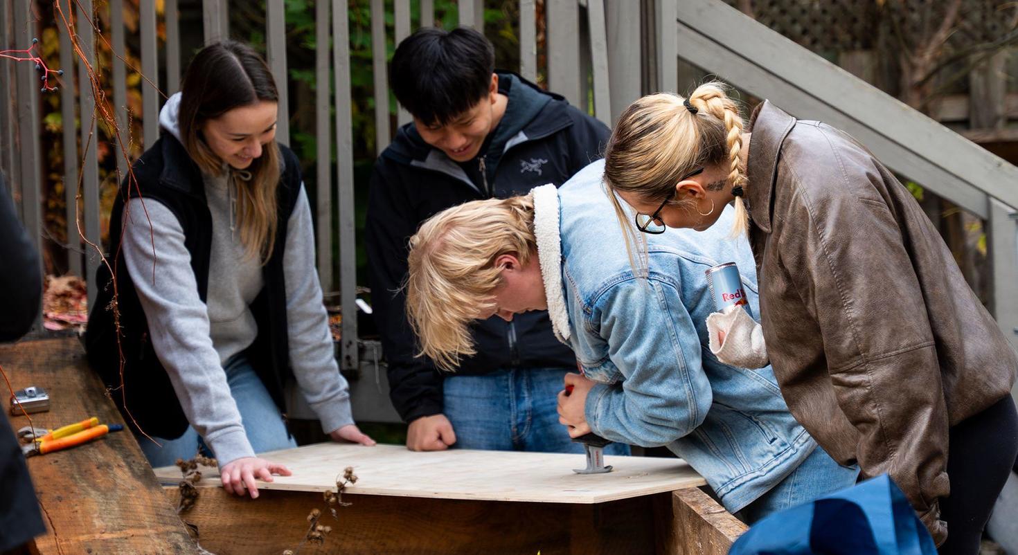 people working together
