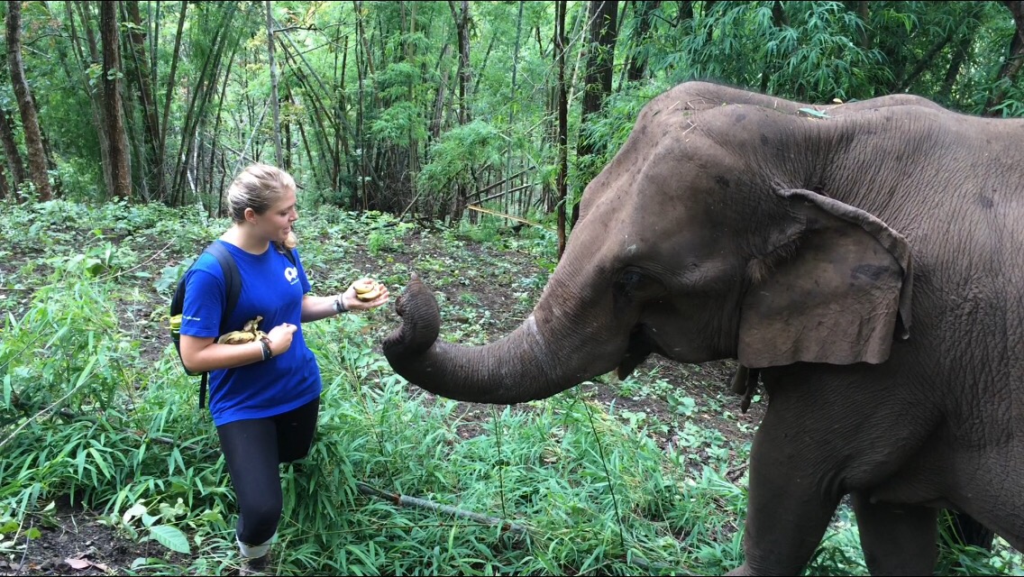 Emily Marie Burnt avec un éléphant