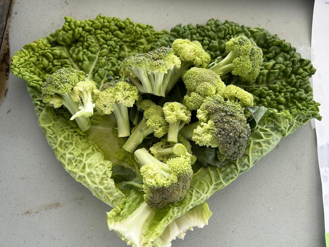 Coeur de légumes