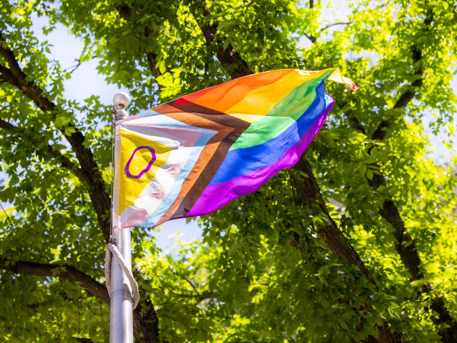 Pride Flag 