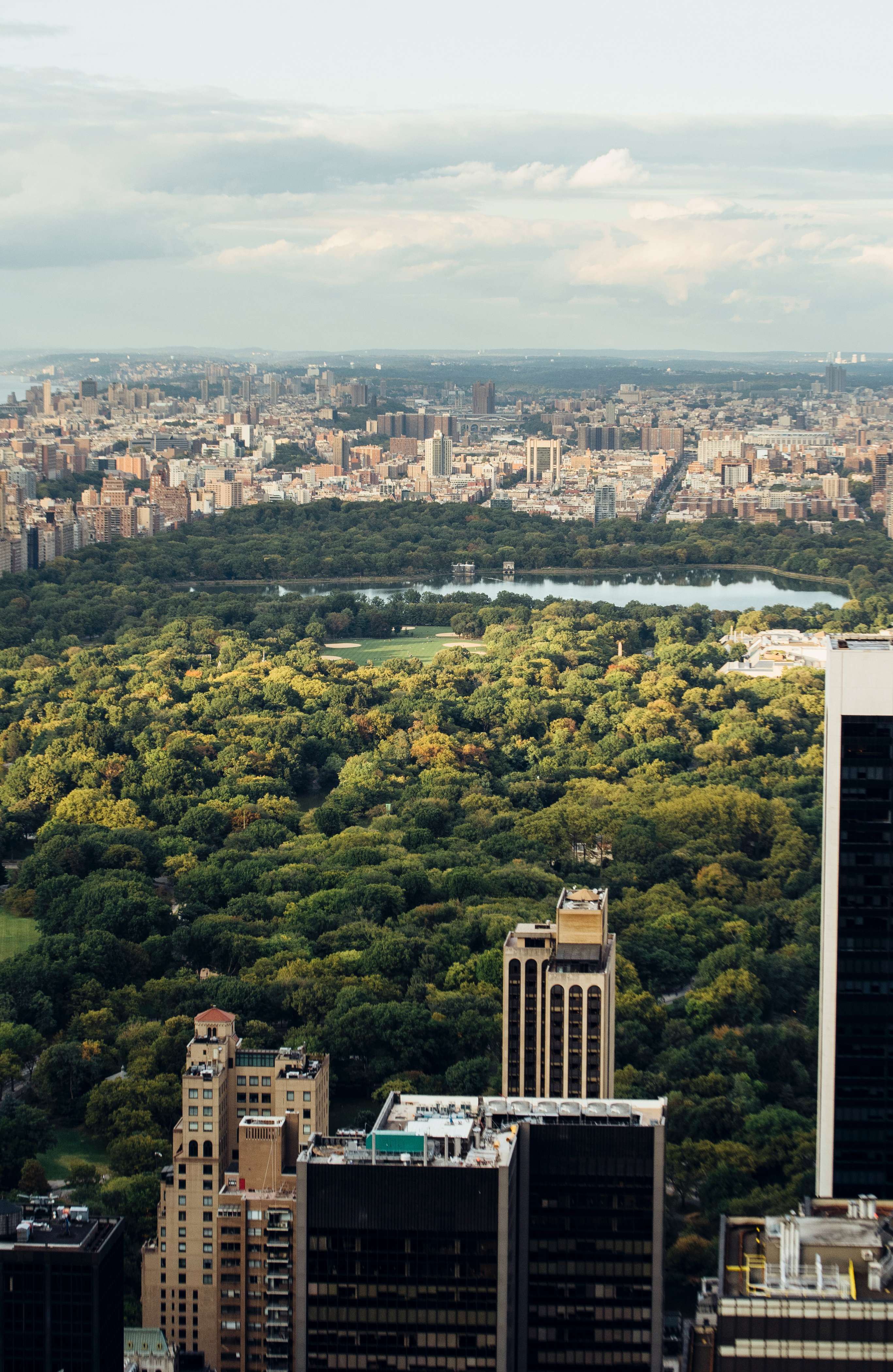 Central Park, à New York.