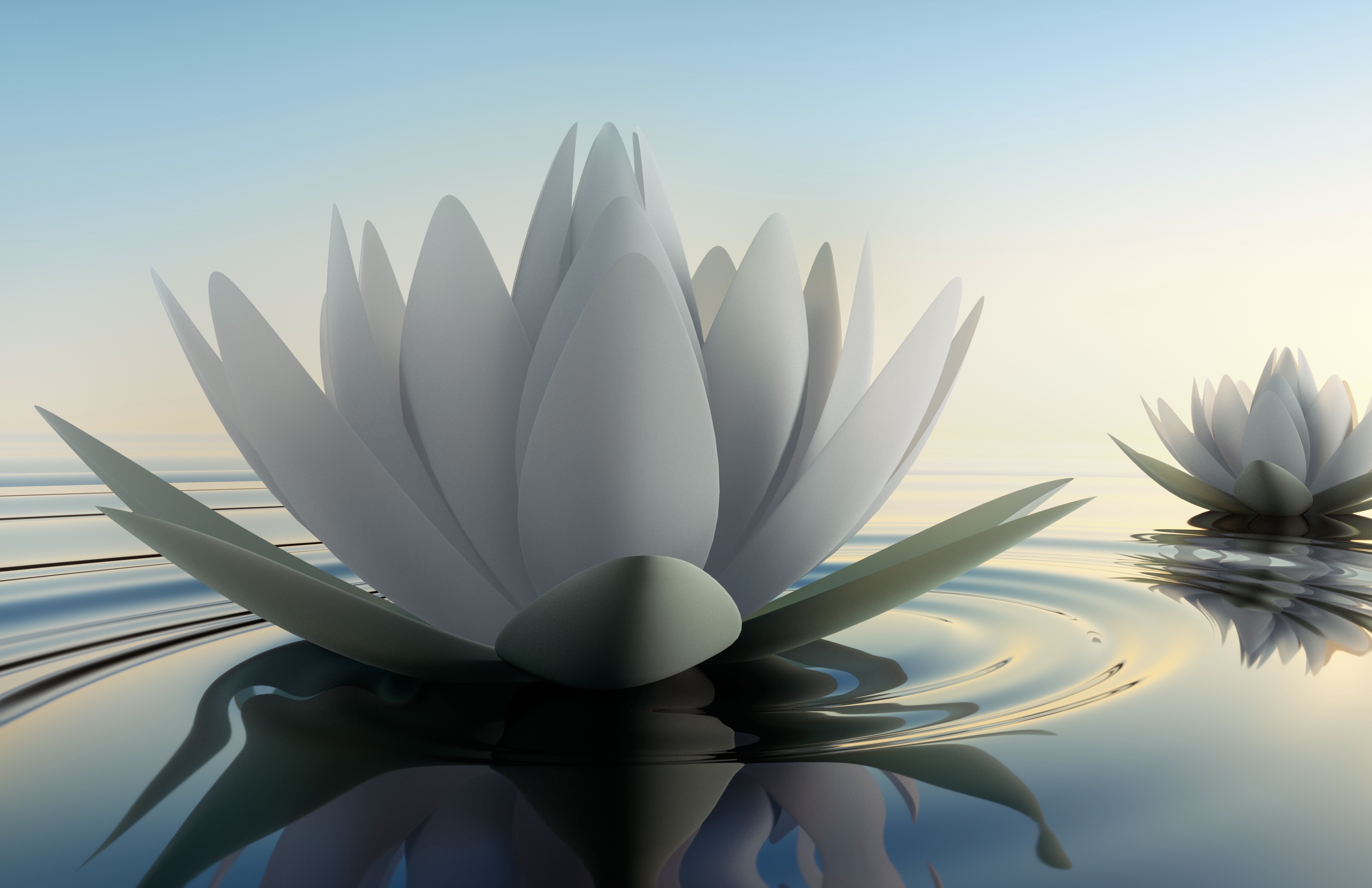 Lotus Flower