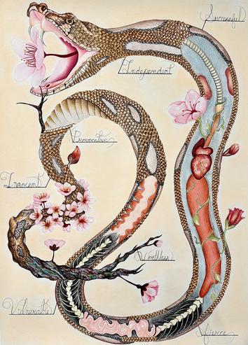  Personal Mythology: femininity