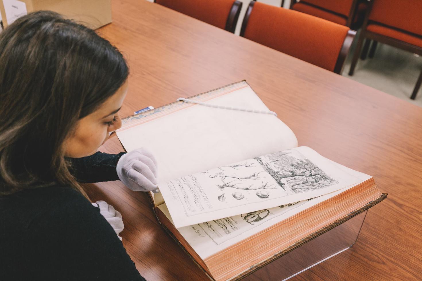 Student studying a book