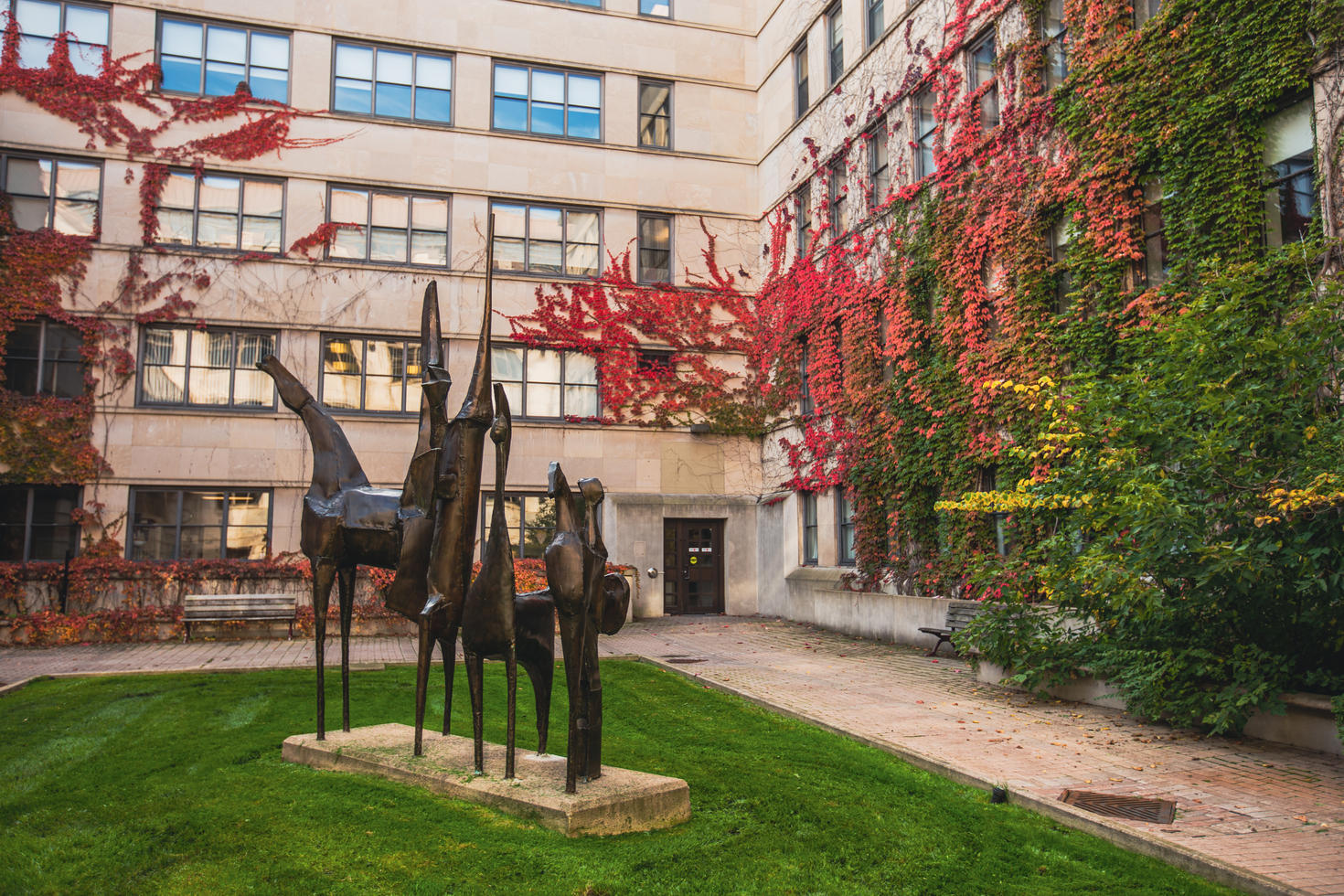 Statue de chevaux dans la cour d'intérieur de Simard et Hamelin