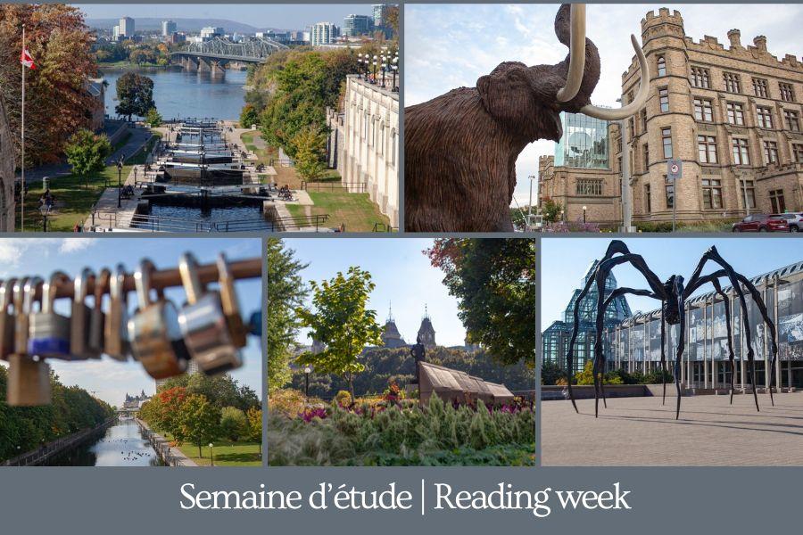 Semaine d'étude, Reading week