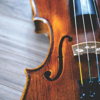 A violin