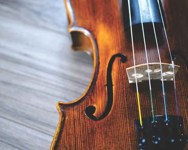 Violin