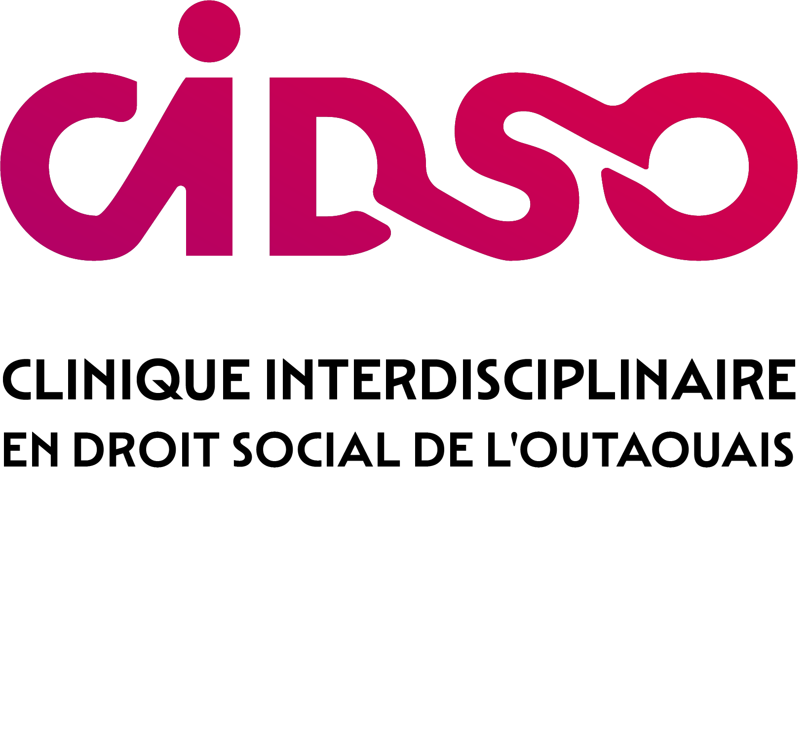 logo de la CIDSO