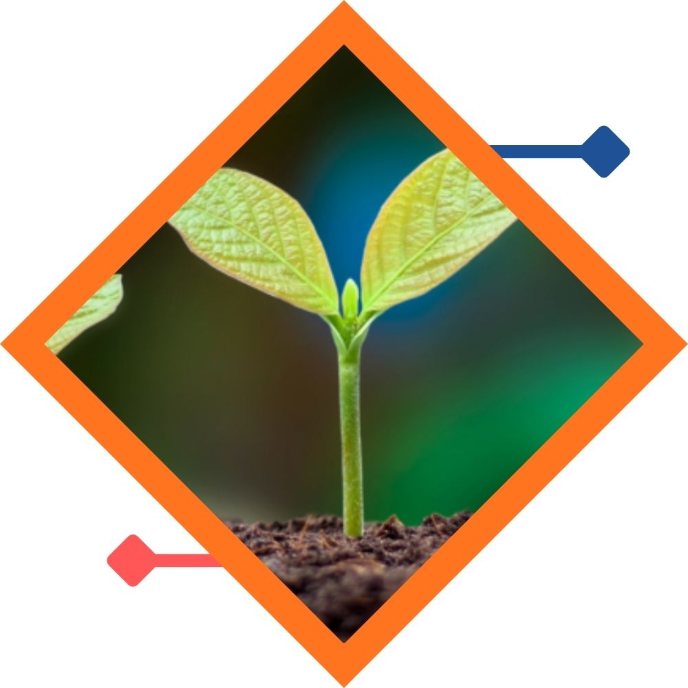 Droit de l’environnement
