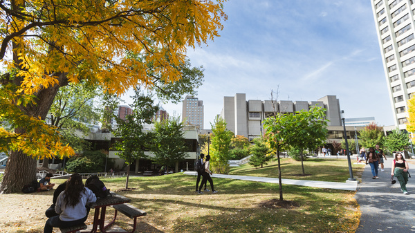 Parc devant fauteux