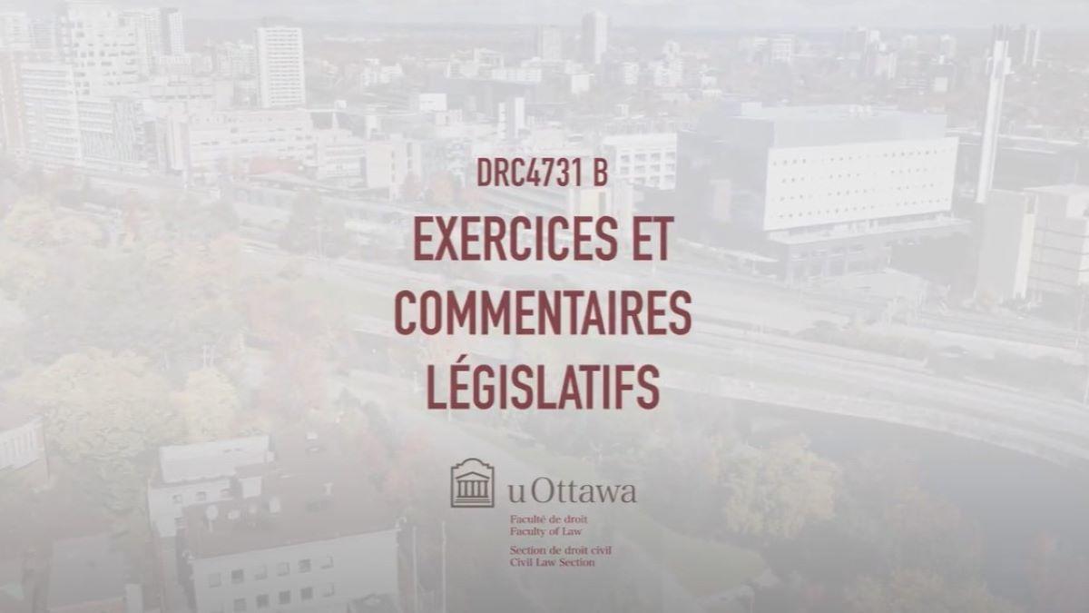 Décrypter une réforme législative avec Mistrale Goudreau | Faculté de droit