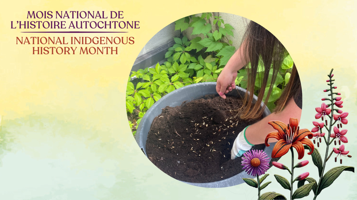 two hands planting seeds in a pot.