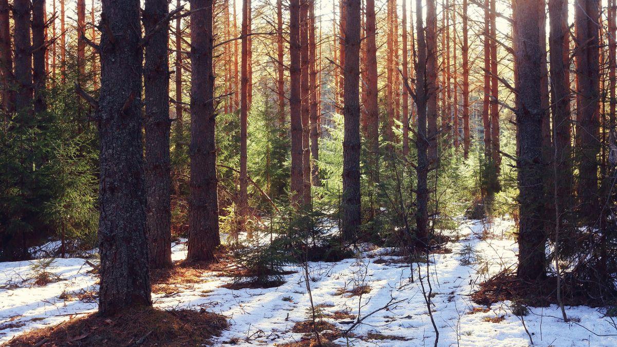 Hiver en mars