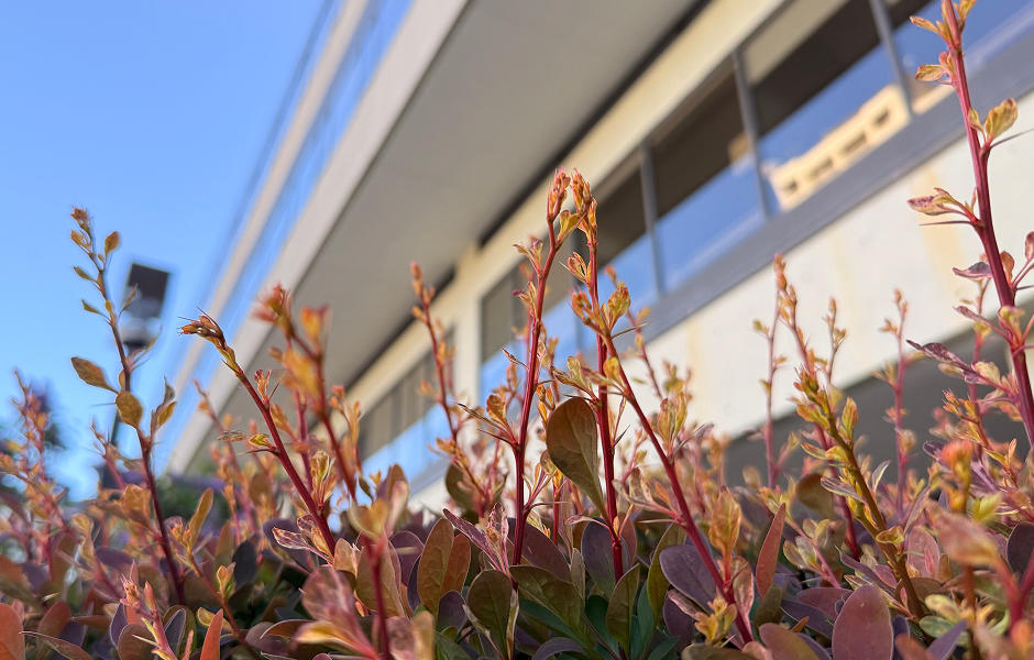 Printemps à Fauteux